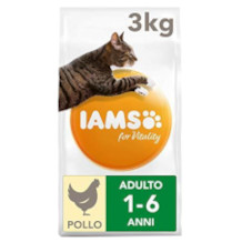 Iams pienso para gatos