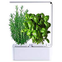 amzWOW indoor garden