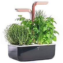 Véritable smart garden