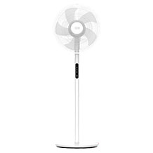 Lebenlang ventilador