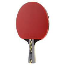 pala de ping-pong