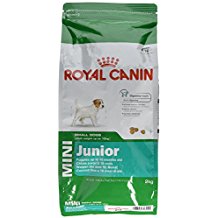 Productos para perros