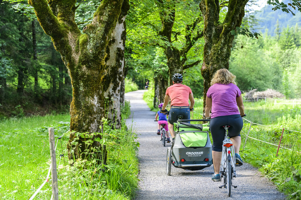 Ciclismo familiar con portabicicletas