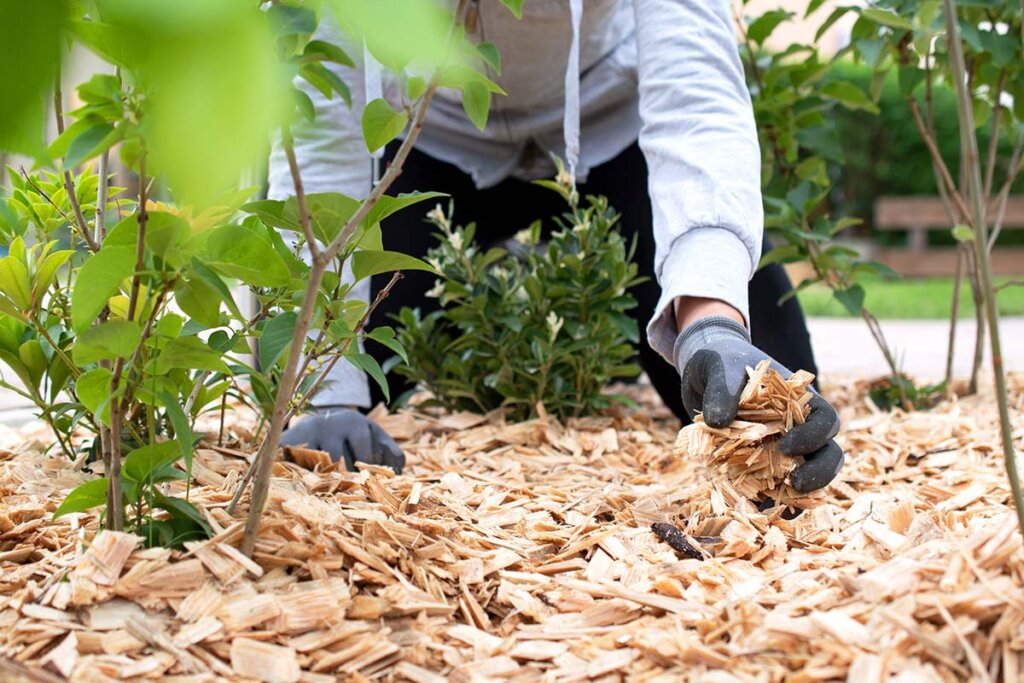 Jardinero esparciendo mantillo en el jardín