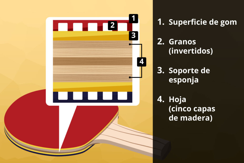 dissection_of_the_layers_of_wood_sponge_and_rubber