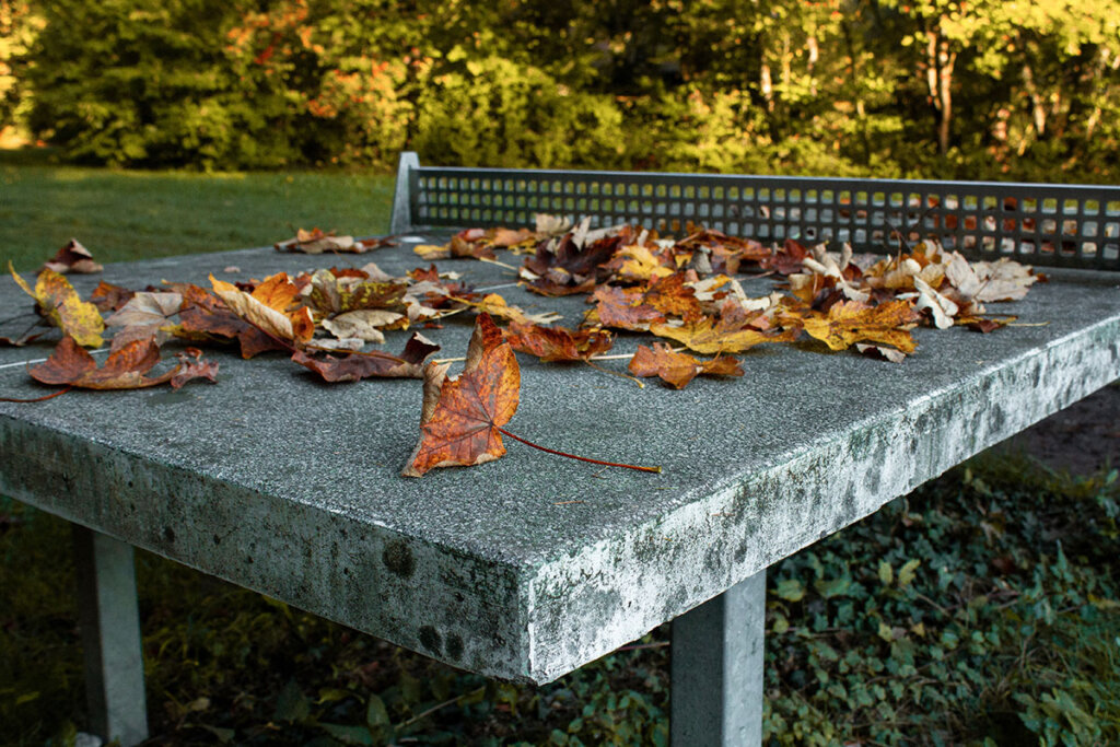 Mesa de ping-pong de piedra en otoño con follaje